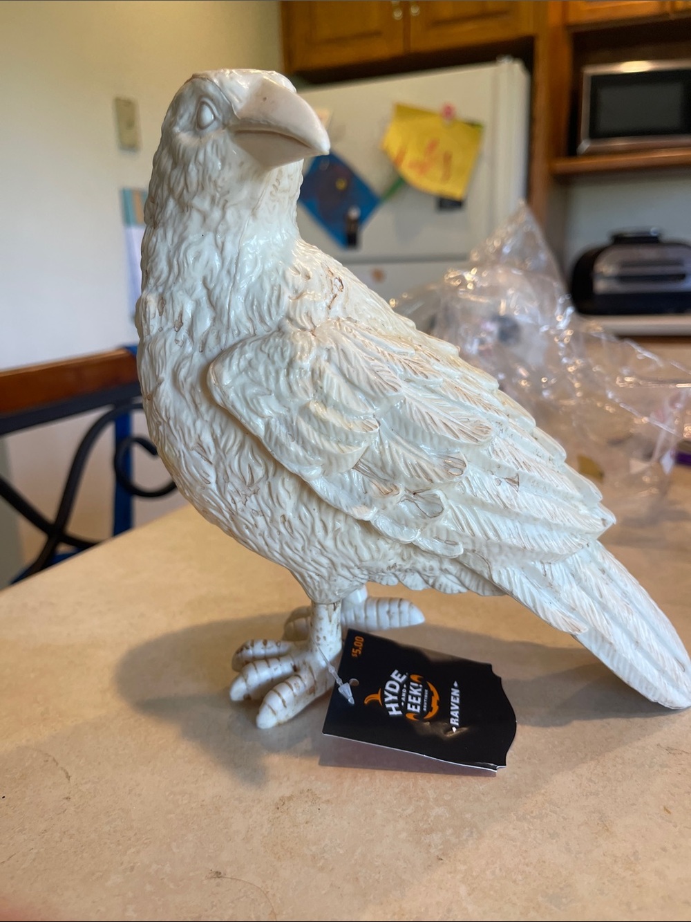 Plastic Raven - Picture 4 of 4